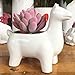 Youfui Cute Animal Succulent Planter Flower Pot Decor for Home Office Desk (Alpaca)