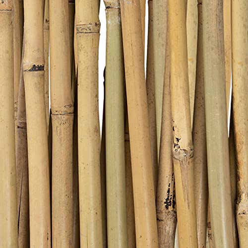 Floordirekt Bambus Rankgitter für Garten, Balkon & Terrasse | Individuell ausziehbar | Witterungsbeständig & langlebig… – Bild 6