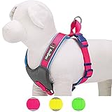 Blueberry Pet 4 Colors Soft & Comfy Summer Hope 3M Reflective Padded Dog Harness Vest, Chest Girth 20.5