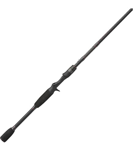 Amazon.com : AbuGarcia World Monster WMCC-654M MGS Puck Rod