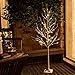 EAMBRITE Warm White LED Tree Light Winter Wedding Home Decorative Tree Light for Indoor and Outdoor Use (5FT Birch Tree Lights)