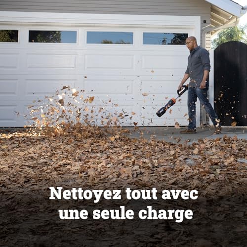 Souffleur Brushless sans Fil 20V WG543E.9