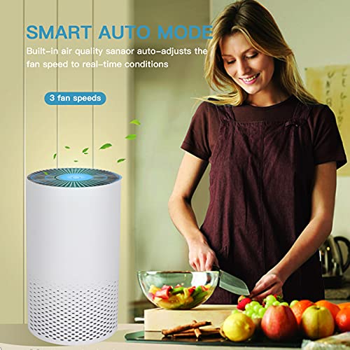 Air Purifiers for Home and Bedroom - True HEPA Air Filter for Room, High-Efficiency Air Cleaner with 4 Stage Filters, Intelligent Mode Nightlight for Allergies, Pets, Smokers, Mold, Pollen, Dust