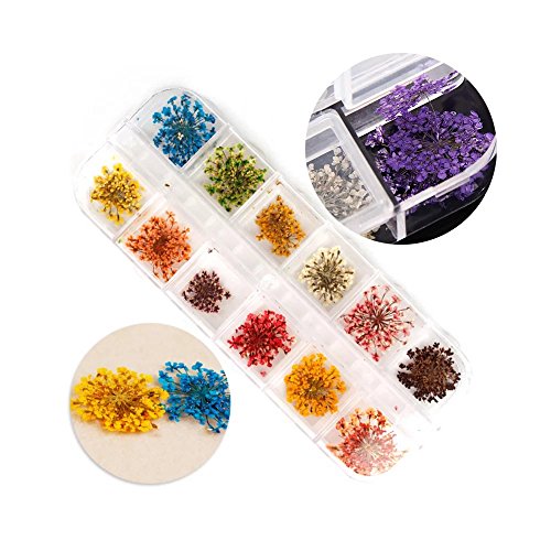 EYX Formula Set of 24 Different Colors Five Flower Variety Flower DIY Nail Art 3D Nail Stickers Nail Supplies Dried Flowers Nail Decoration Tool for Manicure