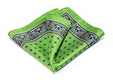 HISDERN Men's Floral Pocket Square Handkerchief