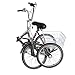 MOPHOTO Adult Folding Bike Tricycle 7 Speed 20 Inch Three Wheel Bike Cruiser Trike with Low-Step Through Frame/Large Basket/Backrest Seat (Black, 7-Speed, 20″ Folding Tricycle)thumb 2