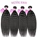 Ombre Braiding Hair 5 Packs Kanekalon Braiding Hair Extension for Braid Jumbo Braiding Hair 24 Inch (5 pack, black 99j)