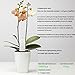 Xiaomi Moisture Mter Light Soil Testing Kit For Gardens International version