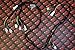 Vito's Performance New Yamaha Banshee Wiring Harness Complete OEM Replacement 1997-2001