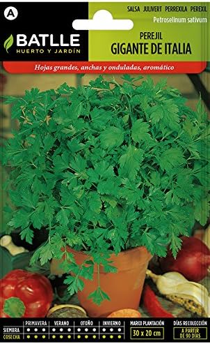 Semillas Hortícolas - Perejil Gigante d´Iltalia - Batlle