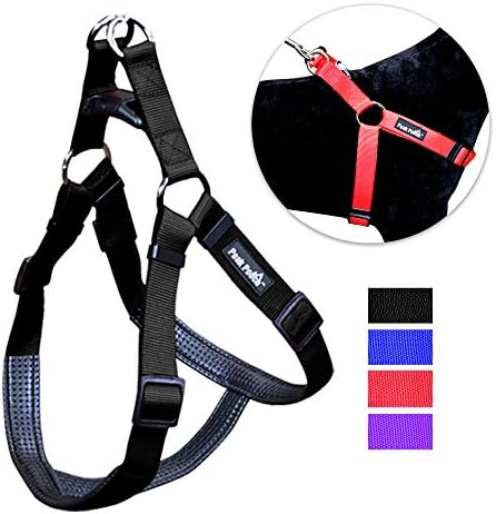 No-Pull Small Dog Harness - Padded, Step in Dog Harness - Comfort Nylon Dog Harness with Metal Rings for Dog Leash Attachment - S - Black Dog Harness