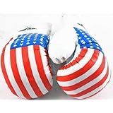 1 Pair USA 14oz Boxing Gloves New Punching Gloves