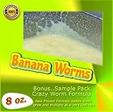 Insectsales.com Banana Worms (Large Producing Cultures) 8 oz.
