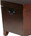 Southern Enterprises Pyramid Storage Trunk Cocktail Table, Espresso Finish