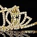 Frcolor 30th Birthday Tiara Crystal Rhinestone Women Crown with Combs (Gold)