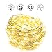 GEEKHOM Led String Lights, 33ft 100 LEDs 8 Modes Waterproof Copper Wire Fairy Lights Dimmable Decorative Light with Remote  for Indoor Outdoor Bedroom Patio Garden Xmas Trees Party (Warm White)