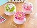 Bloss Lotus Cotton Swab Holder Q-tip Holder Cotton Bud Swabs Toothpick Organizer Dustproof Holder Home Decor - Pink For Mothers Day Gifts