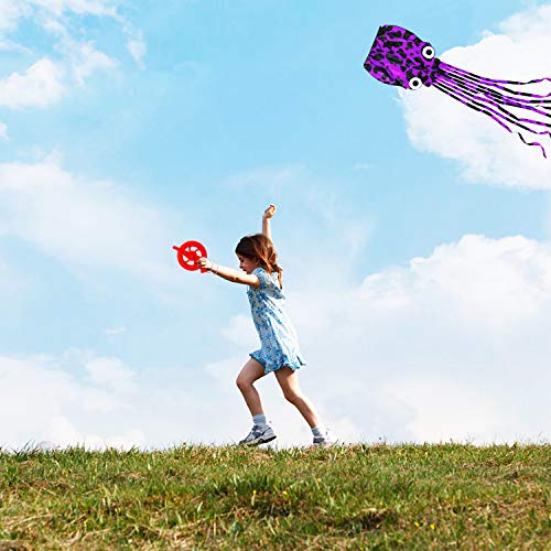 6 kizh+Octopus+Frameless+Parafoil+Playground