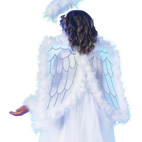 Pretty Angel Wings Child
