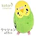 Kotri collection Budgerigar cushion Green