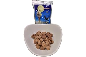 Moonix Freeze Dried Ice Cream 1ct (Chocolate)