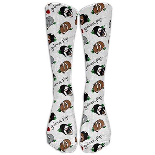 Guinea Pig Socks Kritters in the Mailbox Guinea Pig Sock