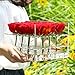 Weiai Clear Acrylic Rose Box Wedding Flower Gift Box Square Multifunctional Water Holder Flower Pot Makeup Organizer C217 series (16 holes)