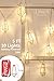 Ling's moment 5Ft Rose Gold Geometric Boho LED Bedroom Fairy Lights Battery Powered Metal Cage String Lights Paris Lamp for Birthday Party Indoor Bridal Shower Decorations Wall Terrarium (Warm White)