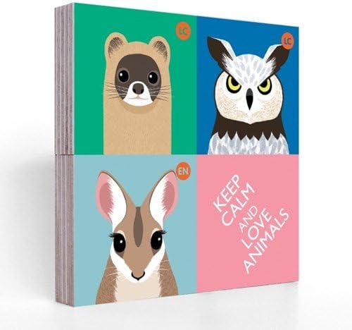Office Products - eagle-owl Block Magnet Set