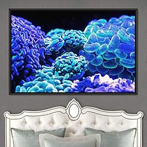 signwin Framed Canvas Wall Art Deep Under Group...