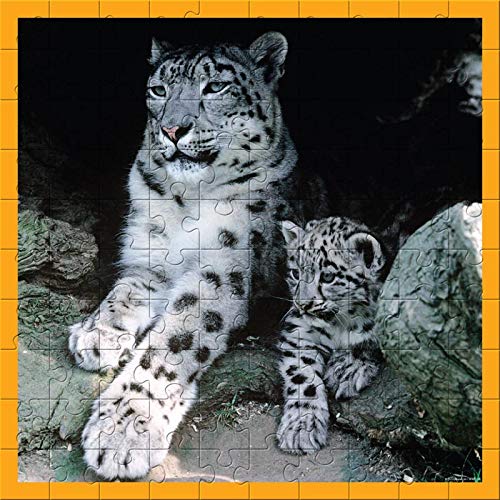 Quality interlocking puzzle pieces feature an adorable photo of Snow Leppard