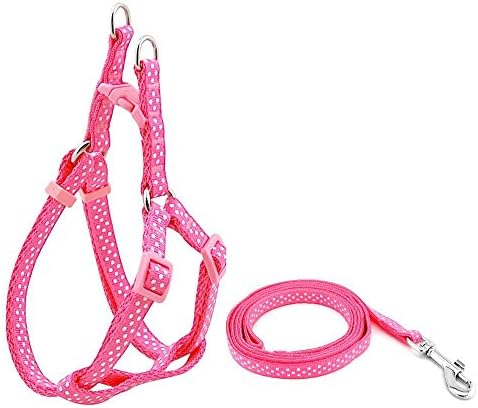 12"-18" Nylon Pet Dog Polka Dots Strap Harness Leash Set - Suitable for Small Toy Dogs and Puppies