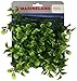 Marineland  90546 Boxwood Plant Mat for Aquarium