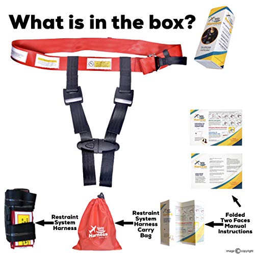 Child aviation restraint system reviews passvast