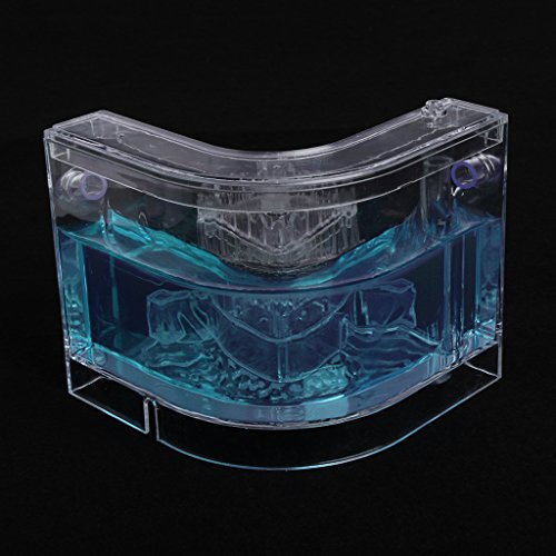 Qupida 3D Ant Farm Educational Maze Live Feeding System Ants Habitat World Pet Villa,Ant Works Castle Experiment (BL)