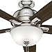 Hunter Indoor Ceiling Fan with LED Light and pull chain control - Donegan 60 inch, Brushed Nickel, 54172