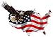 American Eagle United States Magnet Decal v1 is 6