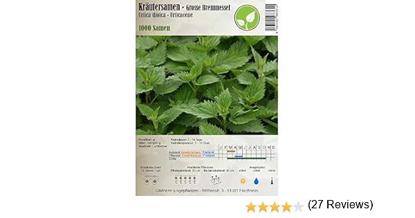 Semillas de hierbas - Ortiga grande/Urtica dioica 1000 semillas ...