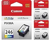 Genuine Canon PG-245 Black Ink Cartridge - 2 Pieces (8279B001) + Canon CL-246 Color Ink Cartridge (8281B001)