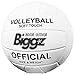 (Pack of 12) Volleyballs - Soft Touch Leather - Indoor/Outdoor with Pump