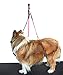 SHELANDY Pet Haunch Holder Dog Grooming Loop restraint for small large dogs (Small)