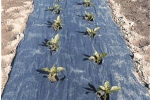 4 Ft. X 100 Ft. Black Biodegradable Planters Paper Mulch by Grower's Solution