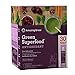 Amazing Grass green superfood sweet berry antioxidant natural organic smoothie | detox cleanse weight loss | elderberry, wheatgrass, and 7 super greens | 30 count packets primary