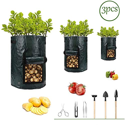Potato-Grow-Bags,Garden Vegetable Planter with Handles&Access Flap for Vegetables,Tomato,Carrot, Onion,Fruits,Potatoes-Growing-Containers,Ventilated Plants Planting Bag(10 Pack) (10 gallons + 7 tools)