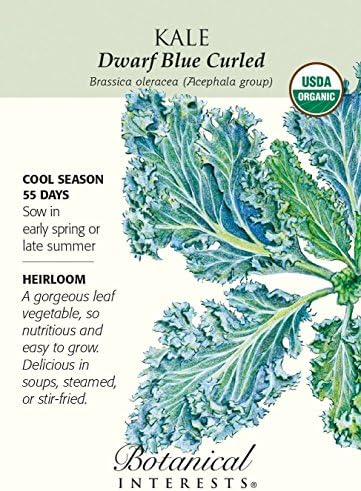 Organic Dwarf Blue Curled Kale Seeds - 1 Gram - Botanical Interests