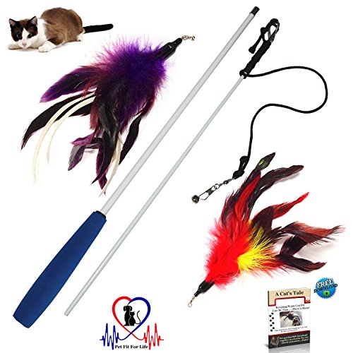 Pet Fit For Life Multi Feather Teaser and Exerciser For Cat and Kitten - Cat Toy Interactive Cat Wand