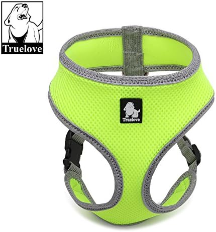 Purr Multi-Colored Lockable Cat Harness, Safe, Adjustable, Lock Secure, All Weather, Pet Vest, Outdoor