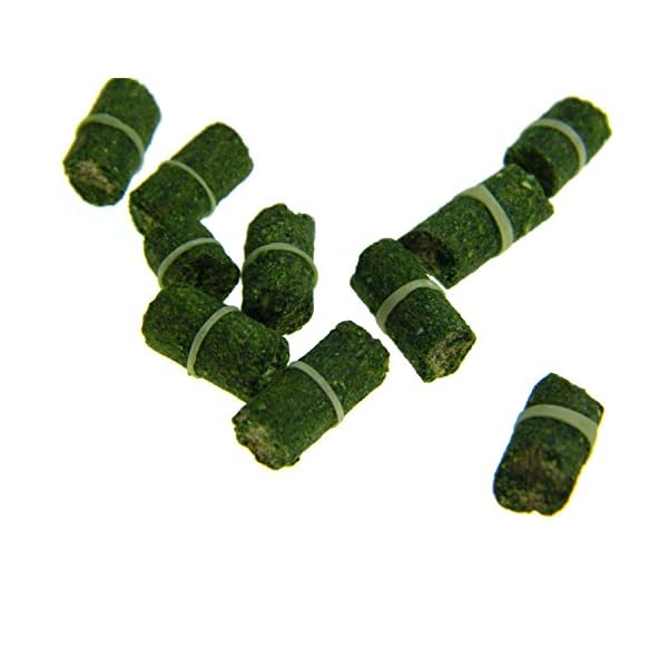 80pcs-in-1-Bottle-Green-Grass-Carp-Baits-Fishing-Lures-Fishing-Baits 80pcs-in-1-Bottle-Green-Grass-Carp-Baits-Fishing-Lures-Fishing-Baits