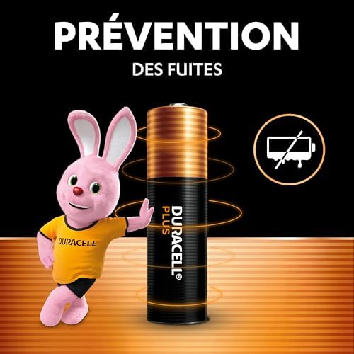 AA Plus Piles Alcalines (Lot de 20) 1.5V, LR06