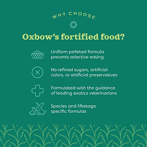 OXBOW ESSENTIALS FERRET FOOD, VITAMIN & MINERAL RICH FORMULA FOR FERRET, HIGH PROTEIN FOOD & HIGH FAT, SMALL ANIMAL PET PRODUCTS, OXBOW, MADE IN USA, 4 LB BAG